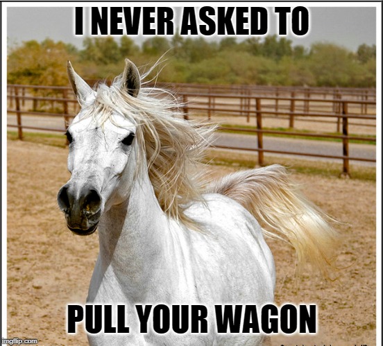 I NEVER ASKED TO PULL YOUR WAGON | made w/ Imgflip meme maker