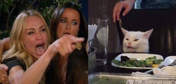 Woman Yelling at Smudge the Cat Blank Meme Template
