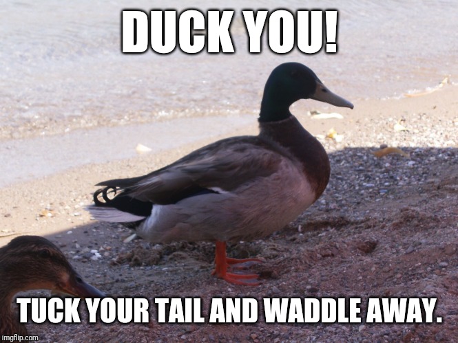 Duck You! | DUCK YOU! TUCK YOUR TAIL AND WADDLE AWAY. | image tagged in duck,sarcasm | made w/ Imgflip meme maker