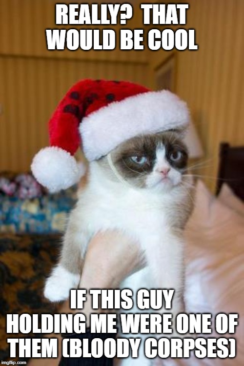 Grumpy Cat Christmas Meme | REALLY?  THAT WOULD BE COOL IF THIS GUY HOLDING ME WERE ONE OF THEM (BLOODY CORPSES) | image tagged in memes,grumpy cat christmas,grumpy cat | made w/ Imgflip meme maker