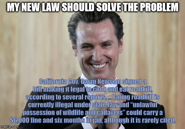 Scheming Gavin Newsom  | MY NEW LAW SHOULD SOLVE THE PROBLEM; California Gov. Gavin Newsom signed a bill making it legal to cook and eat roadkill, according to several reports. ... Eating roadkill is currently illegal under state law and “unlawful possession of wildlife and cadavers” could carry a $6,000 fine and six months in jail, although it is rarely cited. | image tagged in scheming gavin newsom | made w/ Imgflip meme maker