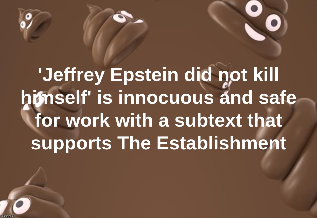 'Jeffrey Epstein did not kill himself' is innocuous and safe for work with a subtext that supports The Establishment | image tagged in jeffrey,epstein,kill,establishment,safe | made w/ Imgflip meme maker