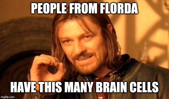 One Does Not Simply Meme | PEOPLE FROM FLORDA HAVE THIS MANY BRAIN CELLS | image tagged in memes,one does not simply | made w/ Imgflip meme maker