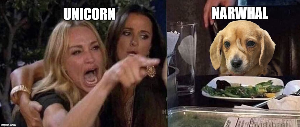 woman yelling at cat | NARWHAL; UNICORN | image tagged in woman yelling at cat | made w/ Imgflip meme maker