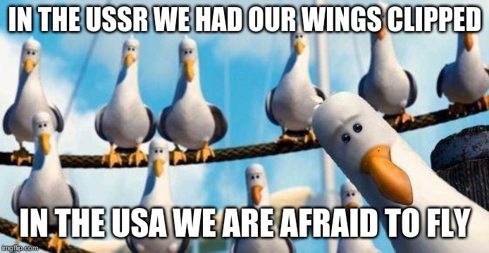 Nemo Birds | IN THE USSR WE HAD OUR WINGS CLIPPED; IN THE USA WE ARE AFRAID TO FLY | image tagged in nemo birds | made w/ Imgflip meme maker