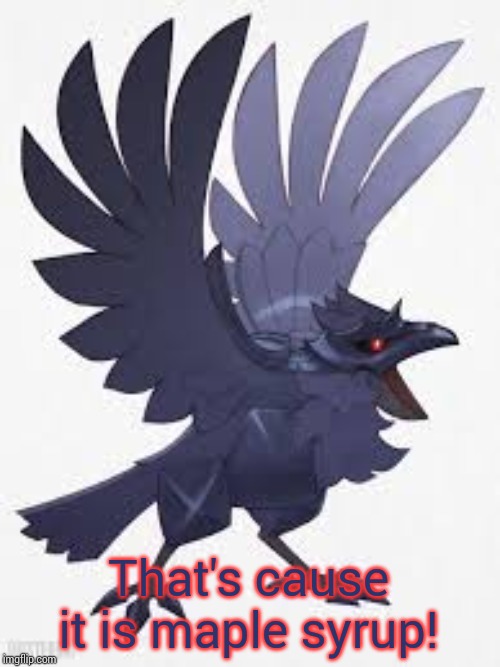 Angry Corviknight | That's cause it is maple syrup! | image tagged in angry corviknight | made w/ Imgflip meme maker