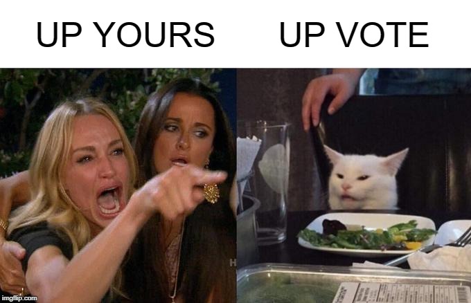 THE UPSIDE | UP YOURS; UP VOTE | image tagged in woman yelling at cat,upvotes,vote,yours | made w/ Imgflip meme maker