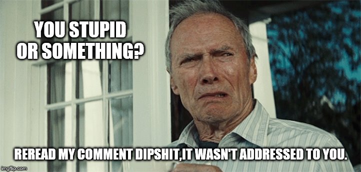 Clint Eastwood WTF | YOU STUPID OR SOMETHING? REREAD MY COMMENT DIPSHIT,IT WASN'T ADDRESSED TO YOU. | image tagged in clint eastwood wtf | made w/ Imgflip meme maker