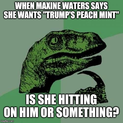 "Peach Mint" | WHEN MAXINE WATERS SAYS SHE WANTS "TRUMP'S PEACH MINT"; IS SHE HITTING ON HIM OR SOMETHING? | image tagged in memes,philosoraptor,impeach trump,maxine waters | made w/ Imgflip meme maker