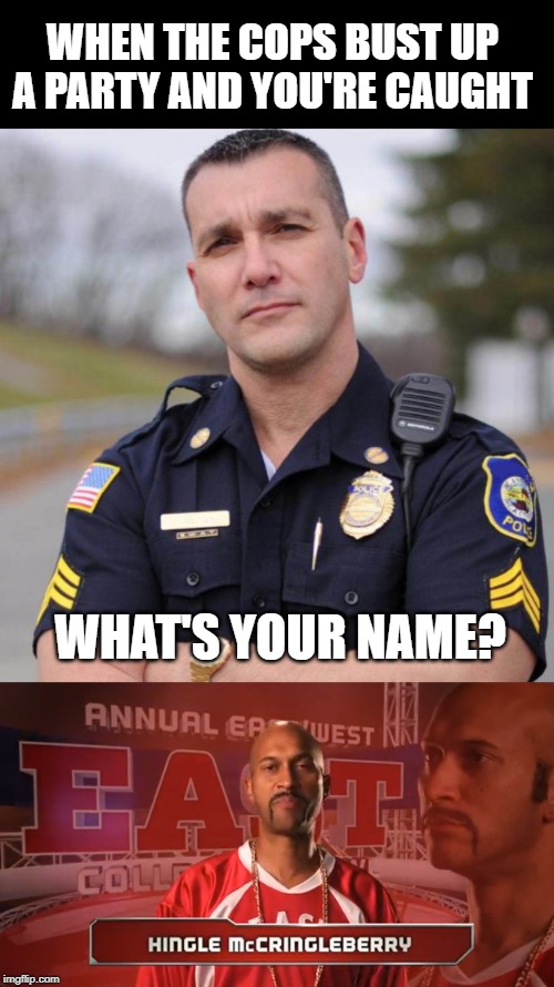 They Got Ya....or..... | WHEN THE COPS BUST UP A PARTY AND YOU'RE CAUGHT; WHAT'S YOUR NAME? | image tagged in cop | made w/ Imgflip meme maker