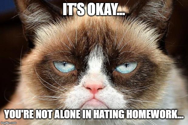Grumpy Cat Not Amused | IT'S OKAY... YOU'RE NOT ALONE IN HATING HOMEWORK... | image tagged in memes,grumpy cat not amused,grumpy cat | made w/ Imgflip meme maker