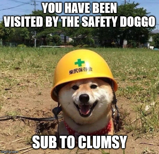 Safety doggo | YOU HAVE BEEN VISITED BY THE SAFETY DOGGO; SUB TO CLUMSY | image tagged in safety doggo | made w/ Imgflip meme maker