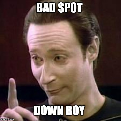 Data I Concur | BAD SPOT DOWN BOY | image tagged in data i concur | made w/ Imgflip meme maker
