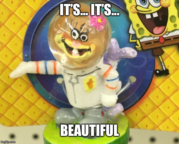 IT’S... IT’S... BEAUTIFUL | image tagged in memes | made w/ Imgflip meme maker