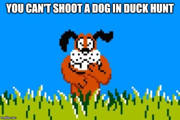 Duck Hunt Dog | YOU CAN'T SHOOT A DOG IN DUCK HUNT | image tagged in duck hunt dog | made w/ Imgflip meme maker