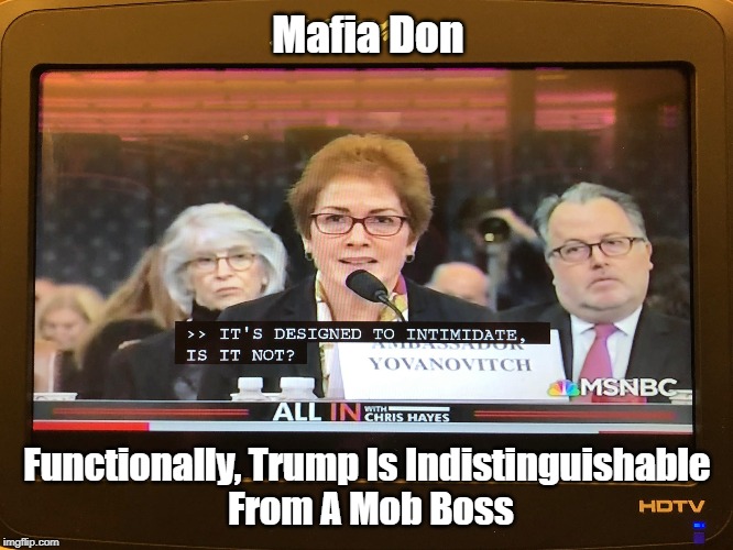 Mafia Don Functionally, Trump Is Indistinguishable
 From A Mob Boss | made w/ Imgflip meme maker