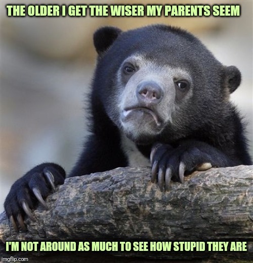 Confession Bear | THE OLDER I GET THE WISER MY PARENTS SEEM; I'M NOT AROUND AS MUCH TO SEE HOW STUPID THEY ARE | image tagged in memes,confession bear | made w/ Imgflip meme maker