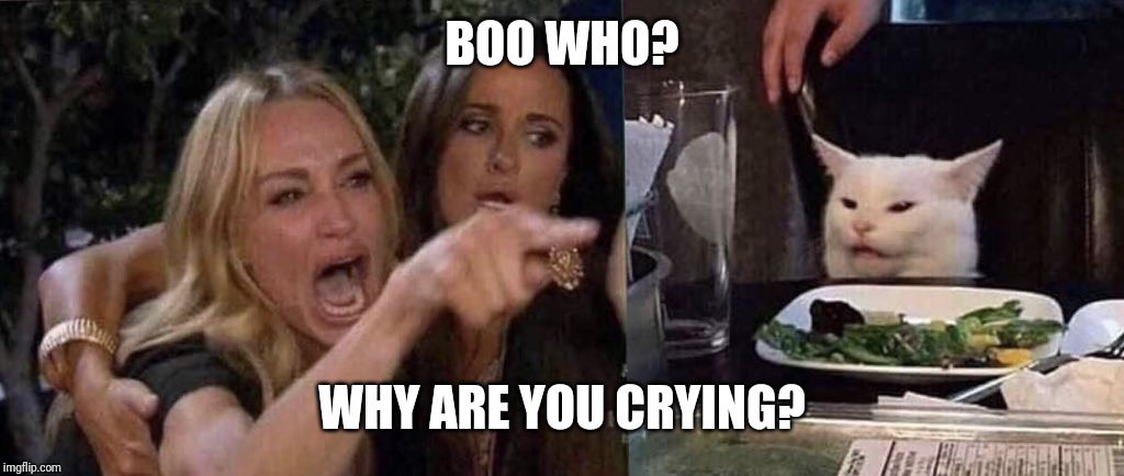 woman yelling at cat | BOO WHO? WHY ARE YOU CRYING? | image tagged in woman yelling at cat | made w/ Imgflip meme maker