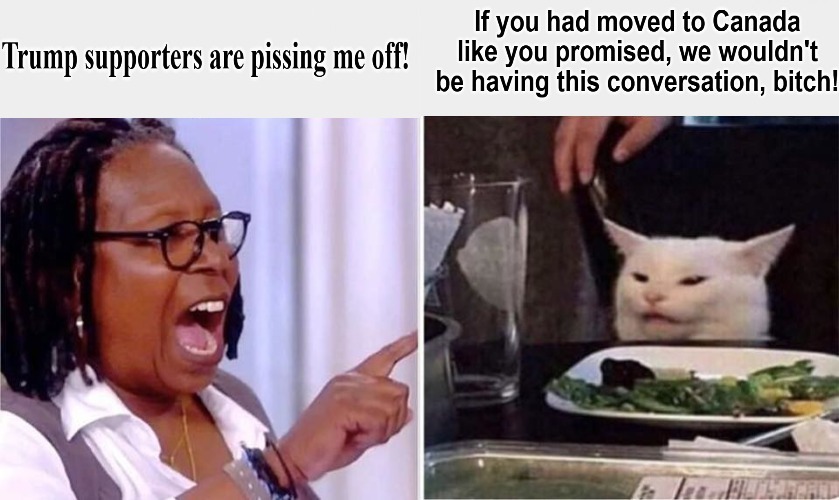 If you had moved to Canada like you promised, we wouldn't be having this conversation, beotch! | image tagged in grumpy cat,whoopi goldberg,racist whoopi,bitches be like,americunt,bitch please | made w/ Imgflip meme maker