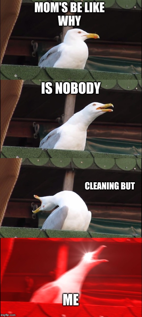 Inhaling Seagull | MOM'S BE LIKE 
WHY; IS NOBODY; CLEANING BUT; ME | image tagged in memes,inhaling seagull | made w/ Imgflip meme maker