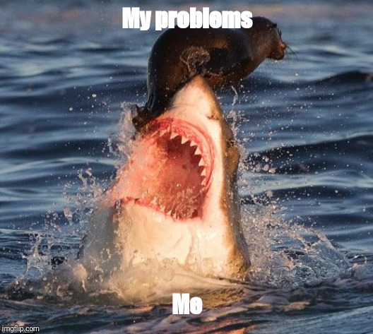 Travelonshark | My problems; Me | image tagged in memes,travelonshark | made w/ Imgflip meme maker