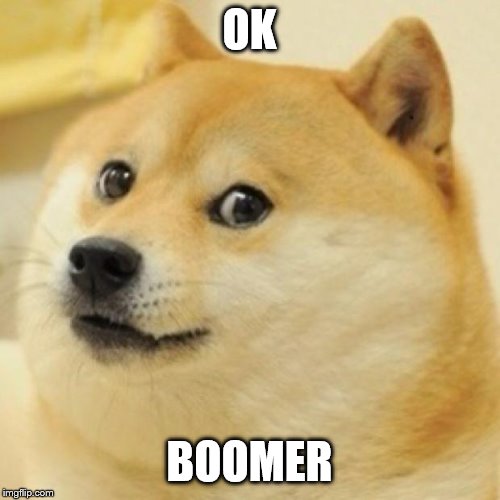 wow doge | OK BOOMER | image tagged in wow doge | made w/ Imgflip meme maker