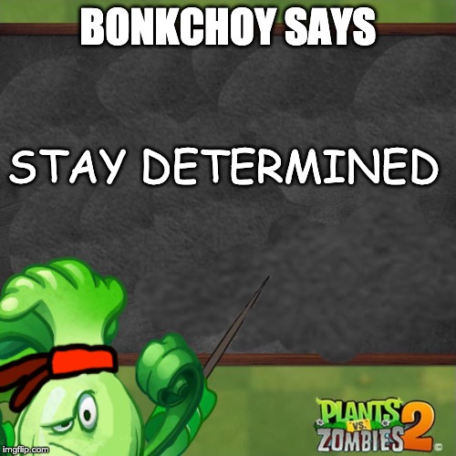 BONKCHOY SAYS; STAY DETERMINED | made w/ Imgflip meme maker