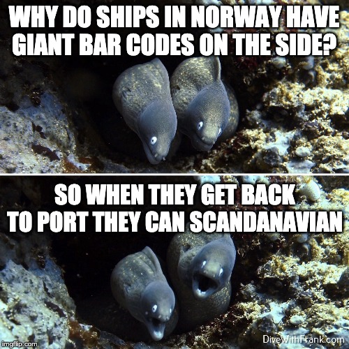 Aquatic, Scuba, Underwater | WHY DO SHIPS IN NORWAY HAVE GIANT BAR CODES ON THE SIDE? SO WHEN THEY GET BACK TO PORT THEY CAN SCANDANAVIAN | image tagged in aquatic scuba underwater | made w/ Imgflip meme maker