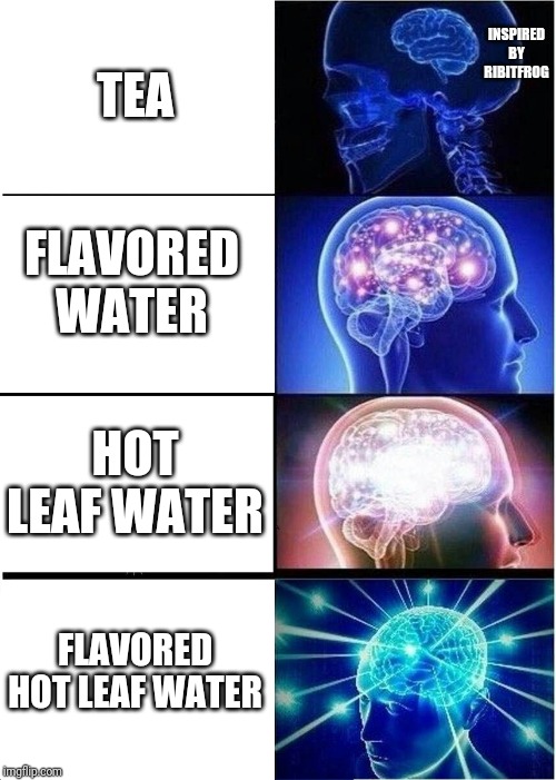 Expanding Brain Meme | INSPIRED BY RIBITFROG; TEA; FLAVORED WATER; HOT LEAF WATER; FLAVORED HOT LEAF WATER | image tagged in memes,expanding brain | made w/ Imgflip meme maker