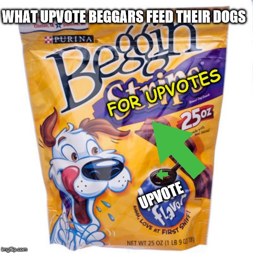 x4rxr | WHAT UPVOTE BEGGARS FEED THEIR DOGS; FOR UPVOTES; UPVOTE | image tagged in begging for upvotes,dog | made w/ Imgflip meme maker
