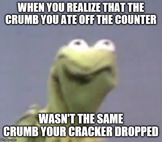 The crumbs you drop | WHEN YOU REALIZE THAT THE CRUMB YOU ATE OFF THE COUNTER; WASN'T THE SAME CRUMB YOUR CRACKER DROPPED | image tagged in bread crumbs,crackers | made w/ Imgflip meme maker