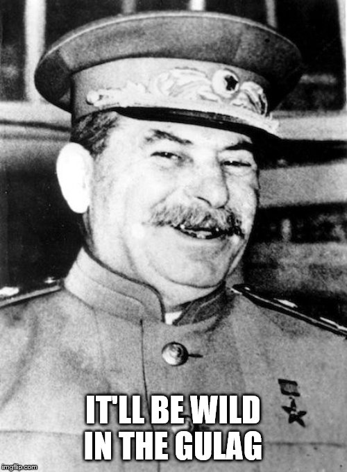 Stalin smile | IT'LL BE WILD IN THE GULAG | image tagged in stalin smile | made w/ Imgflip meme maker