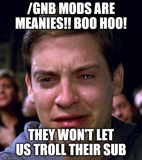 crying peter parker | /GNB MODS ARE MEANIES!! BOO HOO! THEY WON'T LET US TROLL THEIR SUB | image tagged in crying peter parker | made w/ Imgflip meme maker