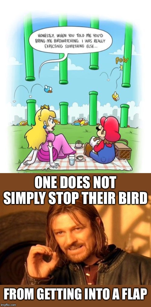 Mario thought he had come up with a peach of an idea |  ONE DOES NOT SIMPLY STOP THEIR BIRD; FROM GETTING INTO A FLAP | image tagged in memes,one does not simply,super mario,princess peach,flappy bird,video games | made w/ Imgflip meme maker