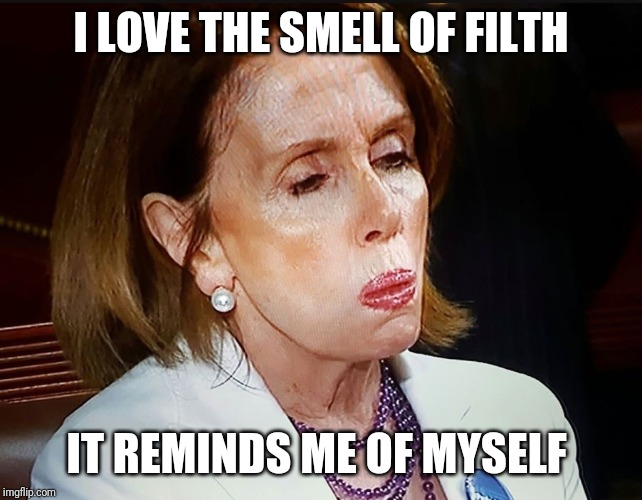 Nancy Pelosi PB Sandwich | I LOVE THE SMELL OF FILTH IT REMINDS ME OF MYSELF | image tagged in nancy pelosi pb sandwich | made w/ Imgflip meme maker