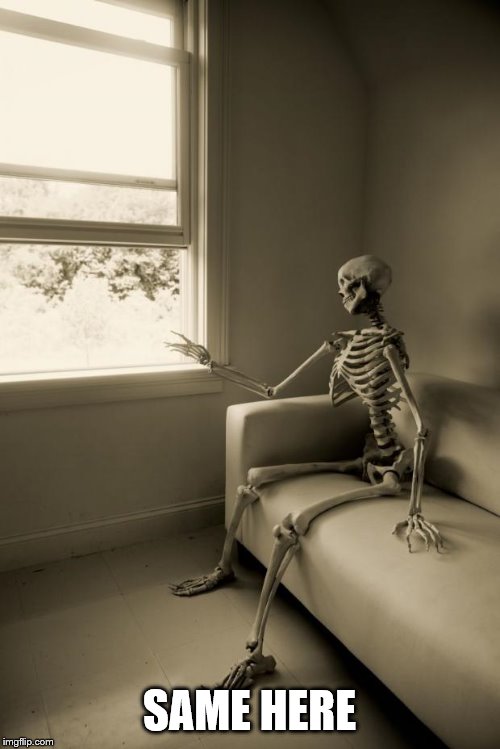 Skeleton Waiting | SAME HERE | image tagged in skeleton waiting | made w/ Imgflip meme maker