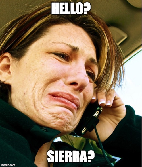Crying on Phone | HELLO? SIERRA? | image tagged in crying on phone | made w/ Imgflip meme maker
