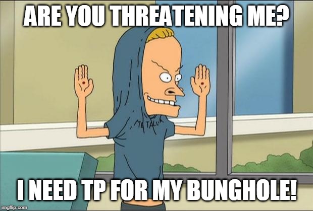 Beavis Cornholio | ARE YOU THREATENING ME? I NEED TP FOR MY BUNGHOLE! | image tagged in beavis cornholio | made w/ Imgflip meme maker