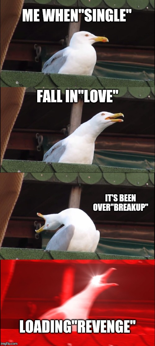 Inhaling Seagull Meme | ME WHEN"SINGLE"; FALL IN"LOVE"; IT'S BEEN OVER"BREAKUP"; LOADING"REVENGE" | image tagged in memes,inhaling seagull | made w/ Imgflip meme maker