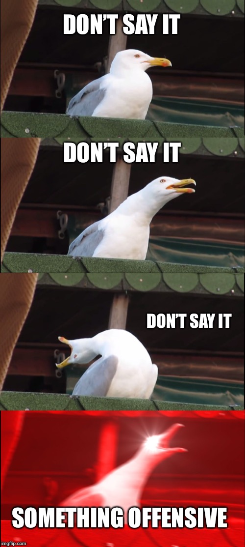 Inhaling Seagull | DON’T SAY IT; DON’T SAY IT; DON’T SAY IT; SOMETHING OFFENSIVE | image tagged in memes,inhaling seagull | made w/ Imgflip meme maker
