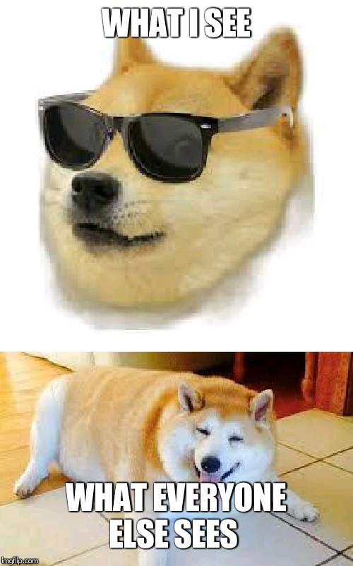 WHAT I SEE; WHAT EVERYONE ELSE SEES | image tagged in mlg doge,thicc doggo | made w/ Imgflip meme maker