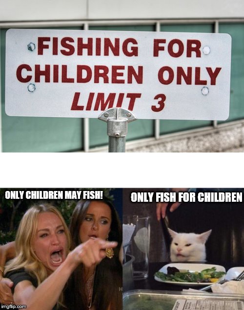 ONLY FISH FOR CHILDREN; ONLY CHILDREN MAY FISH! | image tagged in memes,woman yelling at cat | made w/ Imgflip meme maker