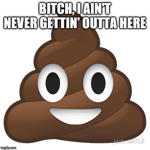 poop | B**CH, I AIN'T NEVER GETTIN' OUTTA HERE | image tagged in poop | made w/ Imgflip meme maker