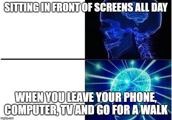 Expanding Brain Two Frames | SITTING IN FRONT OF SCREENS ALL DAY; WHEN YOU LEAVE YOUR PHONE, COMPUTER, TV AND GO FOR A WALK | image tagged in expanding brain two frames | made w/ Imgflip meme maker