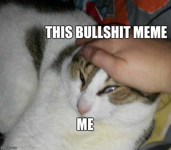 Grab Cat | THIS BULLSHIT MEME ME | image tagged in grab cat | made w/ Imgflip meme maker