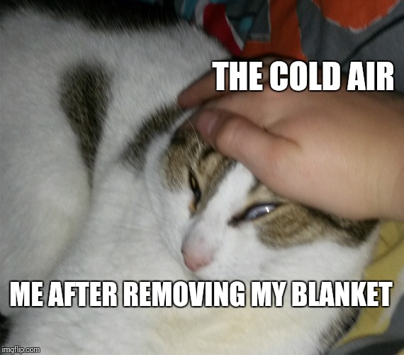 Grab Cat | THE COLD AIR ME AFTER REMOVING MY BLANKET | image tagged in grab cat | made w/ Imgflip meme maker