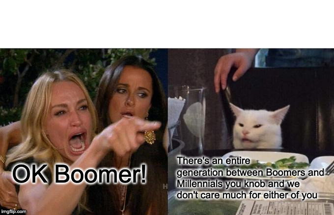 "OK Boomer" Derp... | There's an entire generation between Boomers and Millennials you knob and we don't care much for either of you; OK Boomer! | image tagged in memes,woman yelling at cat,millennials,genx,ok boomer,millennial | made w/ Imgflip meme maker