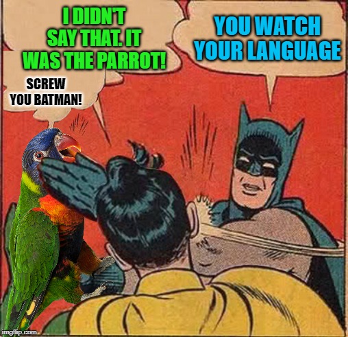 Two birds with one stone | I DIDN'T SAY THAT. IT WAS THE PARROT! YOU WATCH YOUR LANGUAGE; SCREW YOU BATMAN! | image tagged in funny memes,batman slapping robin,parrot,memes,bird | made w/ Imgflip meme maker