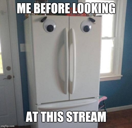Fridge Face | ME BEFORE LOOKING; AT THIS STREAM | image tagged in fridge face | made w/ Imgflip meme maker