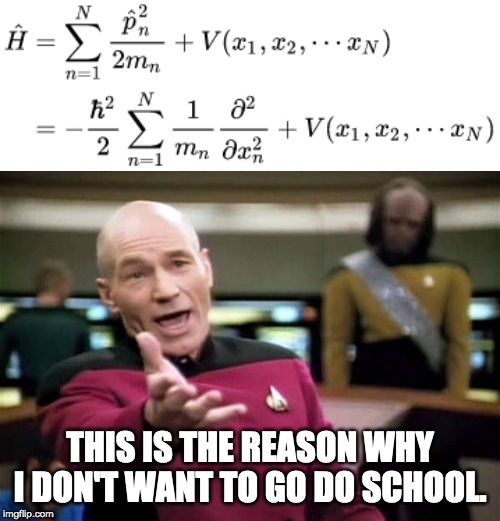 THIS IS THE REASON WHY I DON'T WANT TO GO DO SCHOOL. | image tagged in memes,picard wtf | made w/ Imgflip meme maker